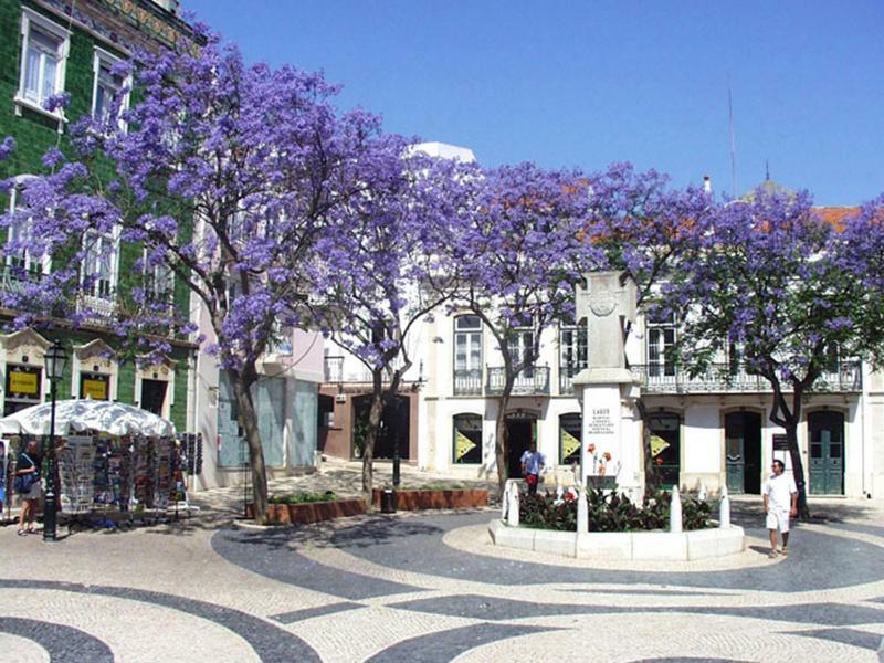 Apartamento Casa Sílvia *